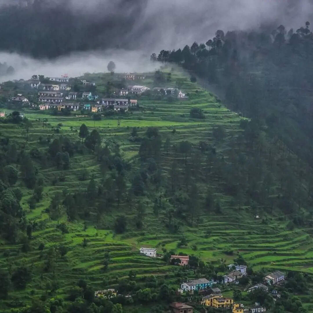 कौसानी