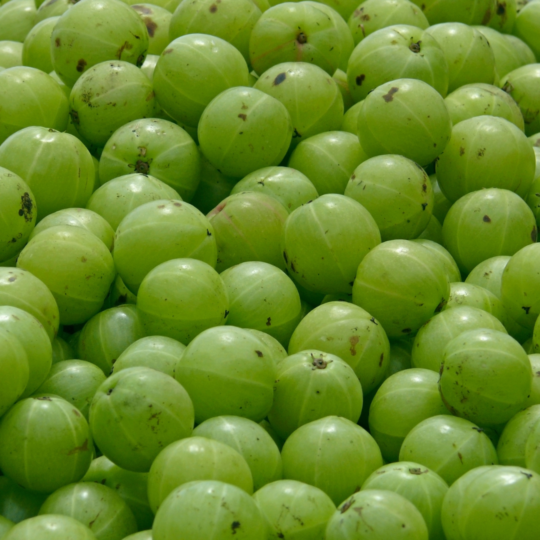 टैनिंग होती है कम