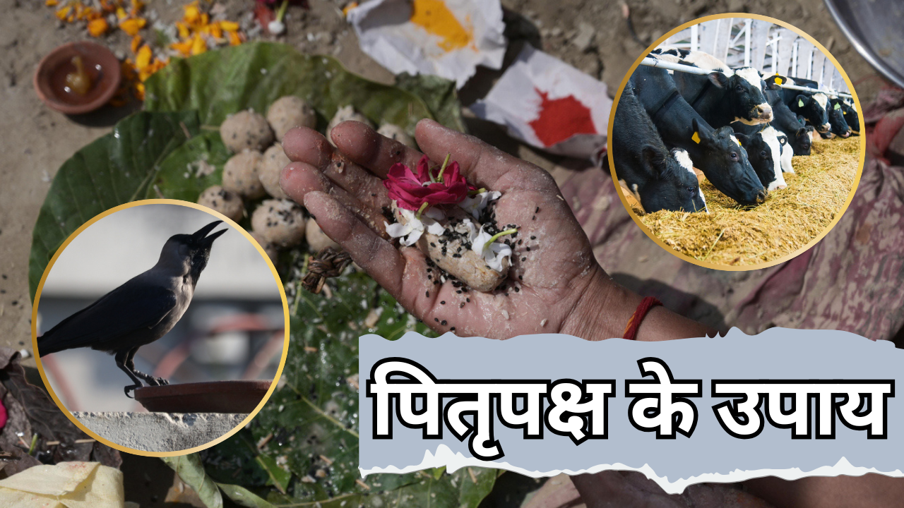 पितृपक्ष के उपाय