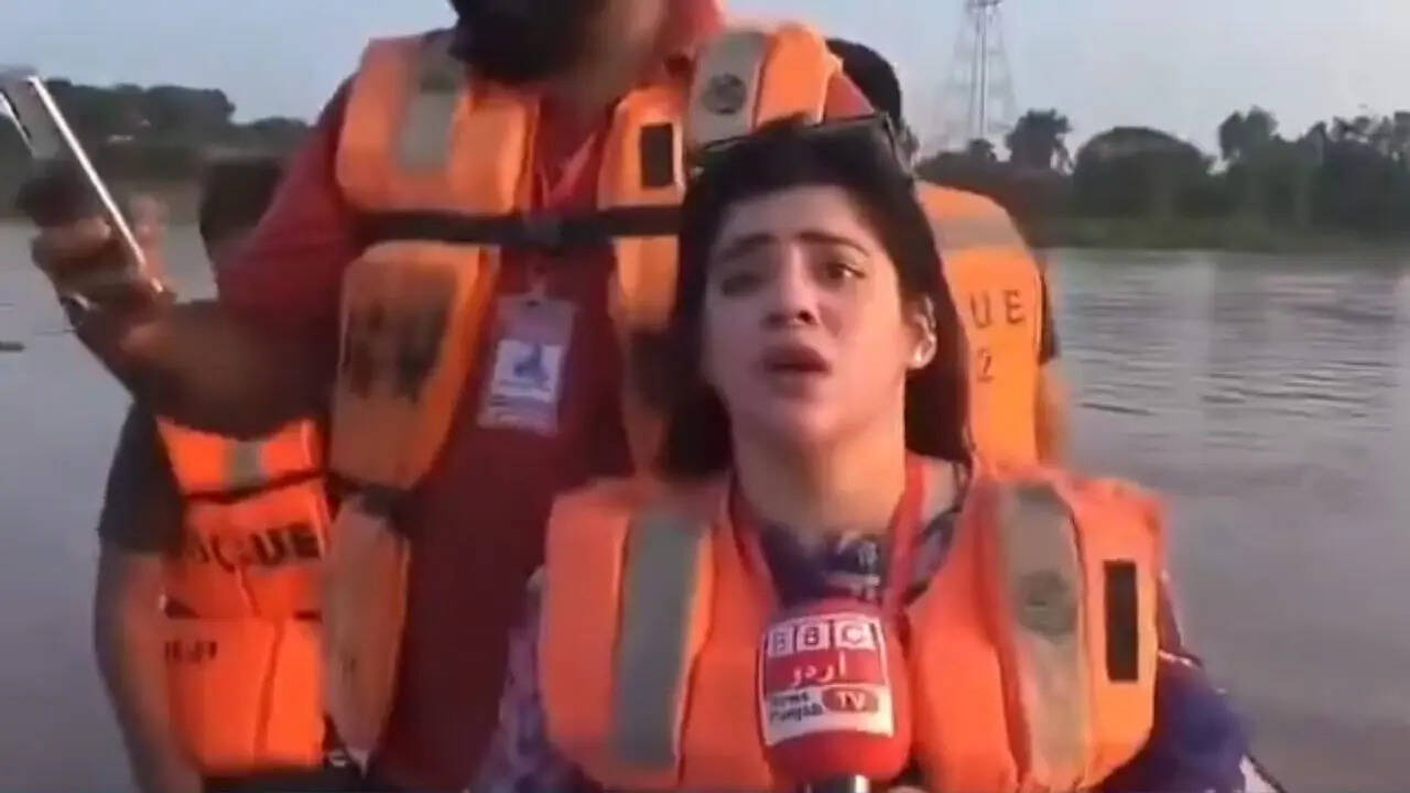 दीदी डर गईं दीदी डर गईं