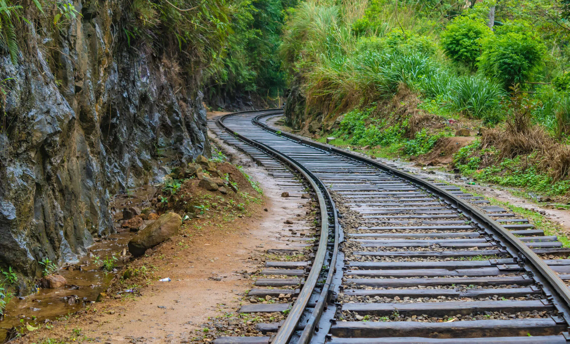 लोहे में मिलाए जाते हैं ये दो धातु