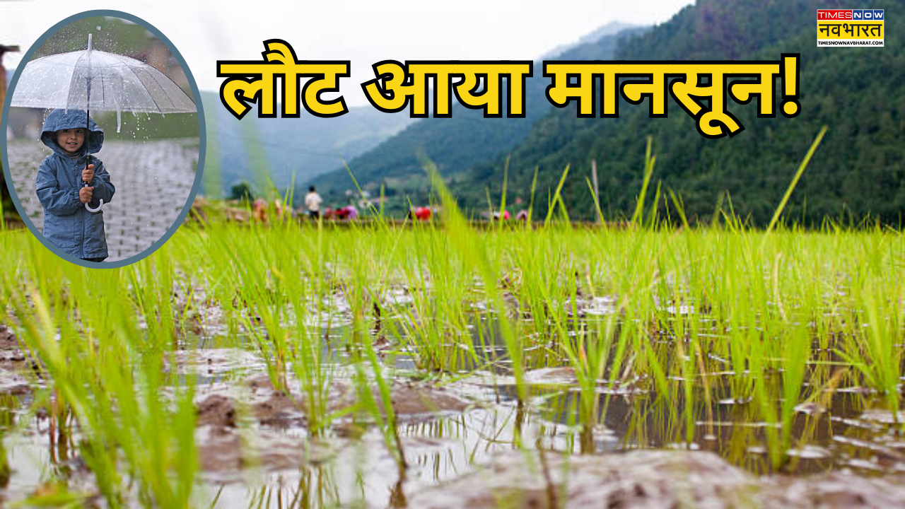 मौसम विभाग की खुशखबरी