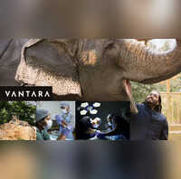 वनतारा मामले में सुप्रीम कोर्ट का ऐतिहासिक फैसला प्राणी बचाव एवं पुनर्वास केंद्र को मिली क्लीन चिट सभी केस खत्म जानें अहम बातें