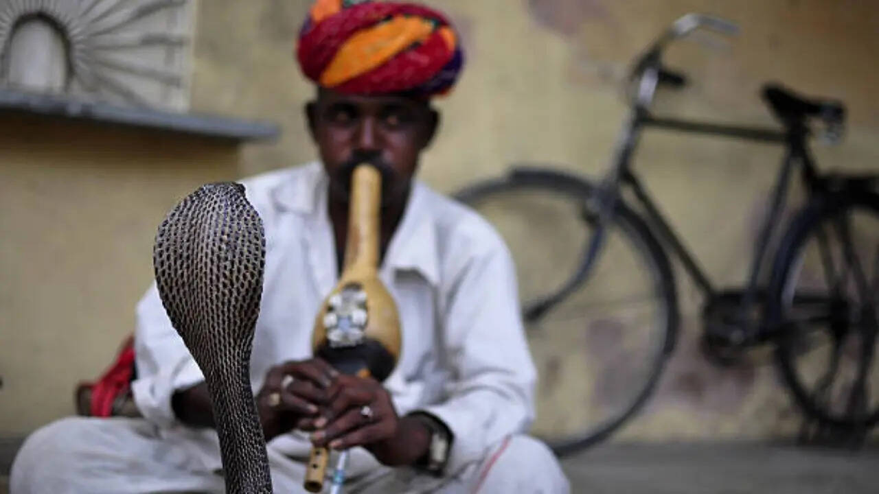 रक्षा की मुद्रा