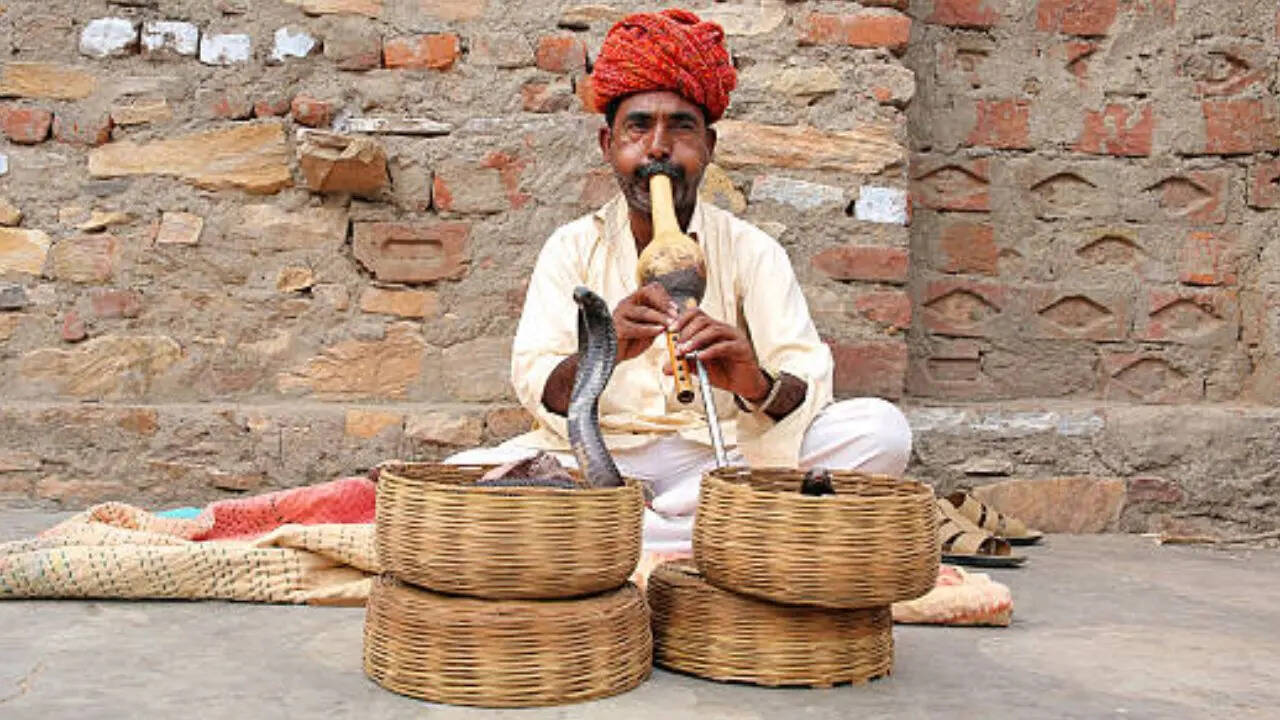 सांपों के नहीं होते कान