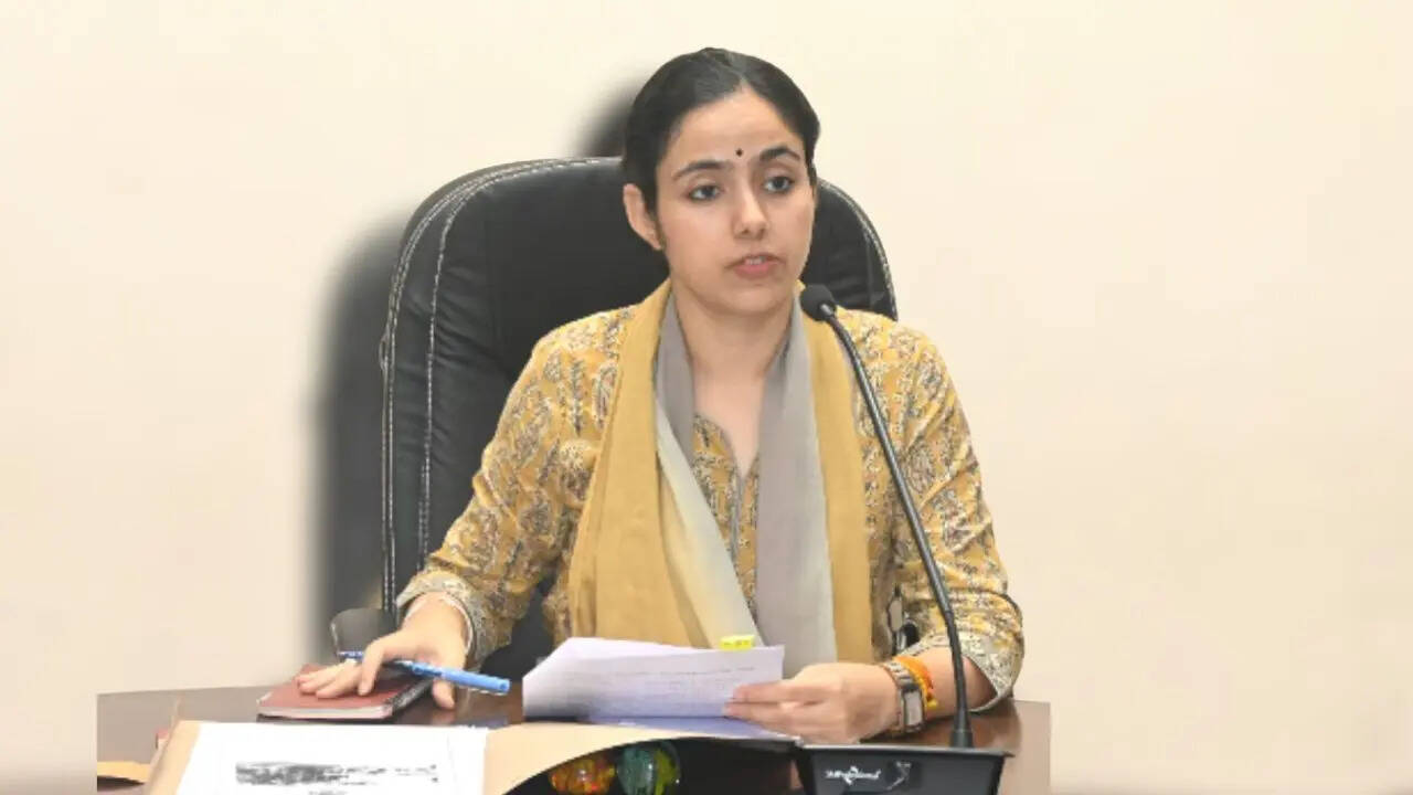आईएएस मीशा सिंह की पढ़ाई, Misha Singh Education