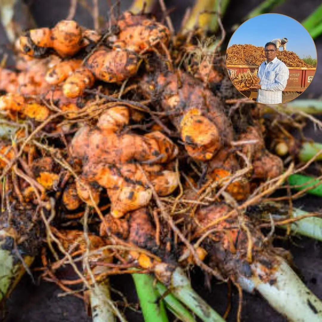 इनोवेशन NPK एजोटोबैक्टर बायोफर्टिलाइजर