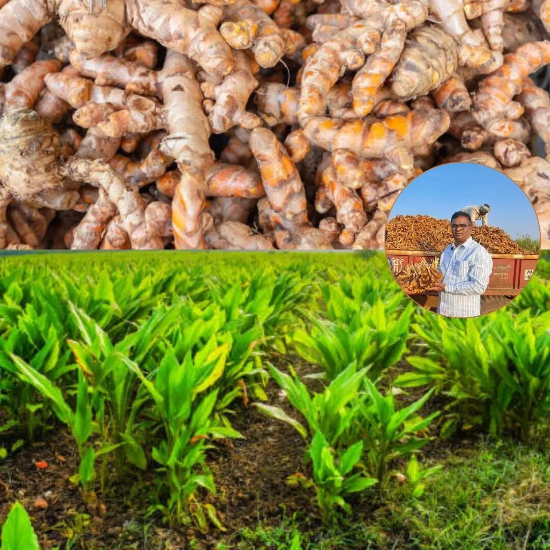 आर्थिक सफलता और मुनाफा