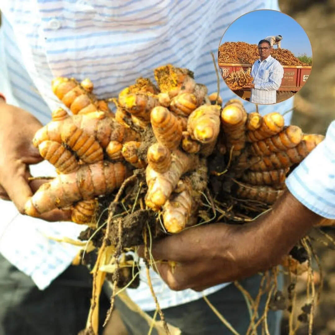 जैविक खेती से हुई उत्पादन में वृद्धि