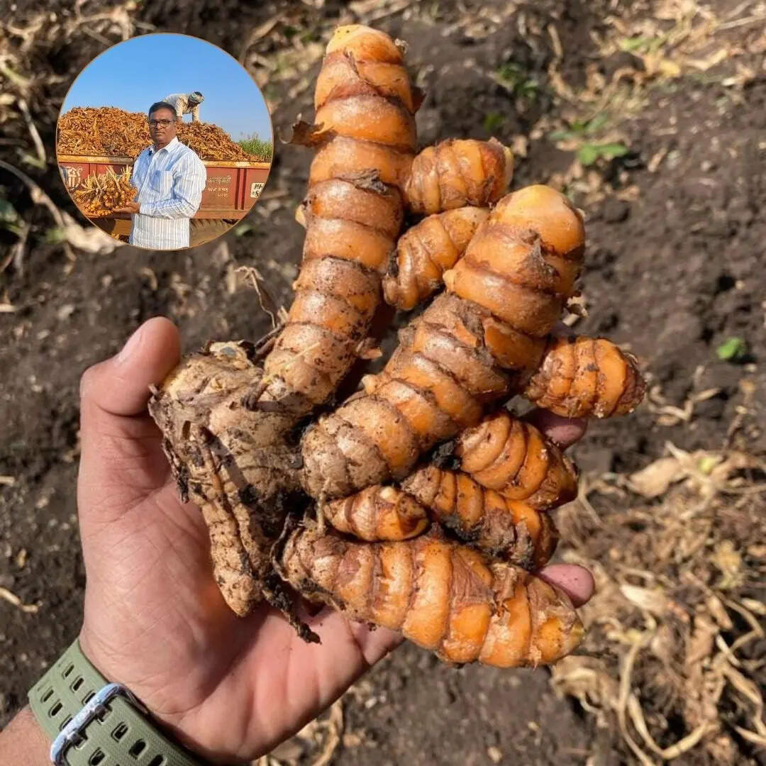 जैविक खेती की ओर कदम