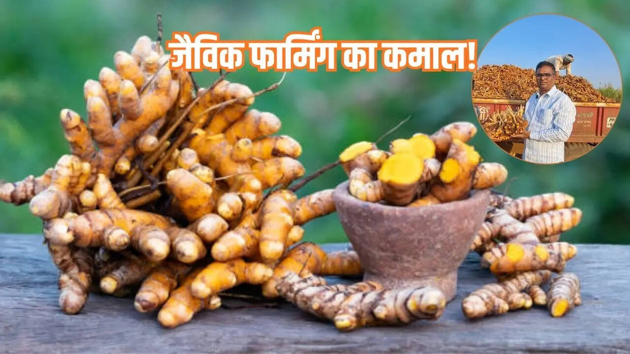 हल्दी की पारंपरिक खेती