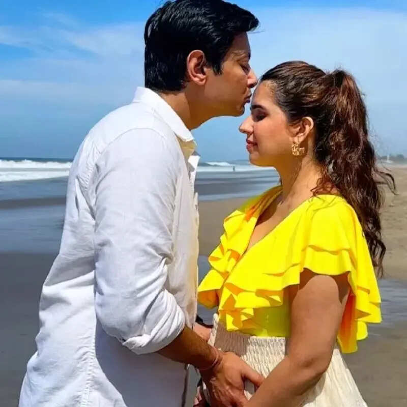 शिरीन सेवानी Shirin Sewani