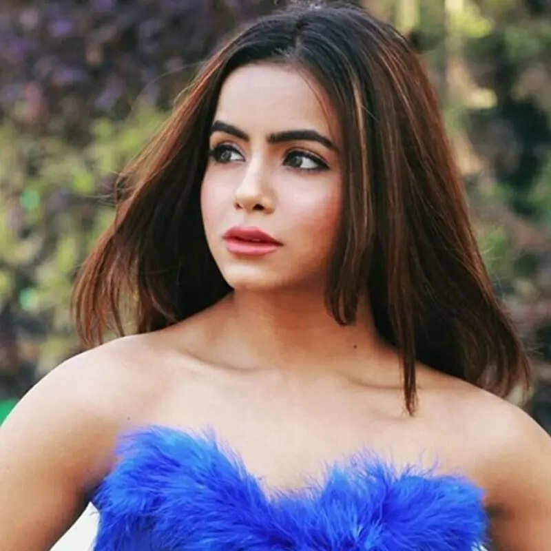 नागिन 7 में होगी इस एक्ट्रेस की एंट्री