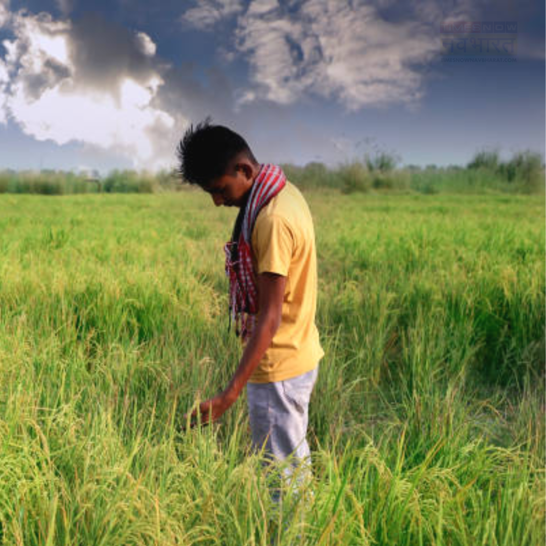 बिहार में आज कैसा रहेगा मौसम