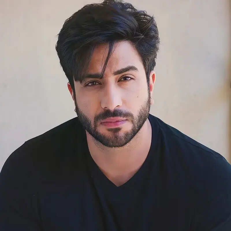 अली गोनी (Aly Goni)