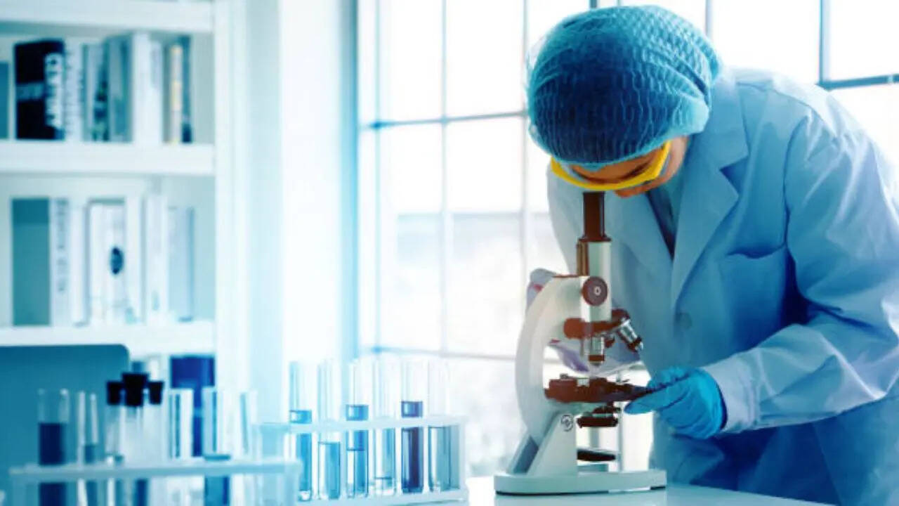 इम्यूनिटी से लड़ने की मजबूत क्षमता