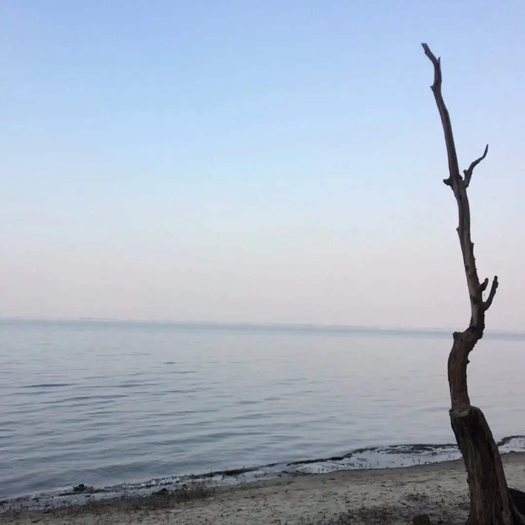 ​​प्राकृतिक सौंदर्य का लें आनंद​