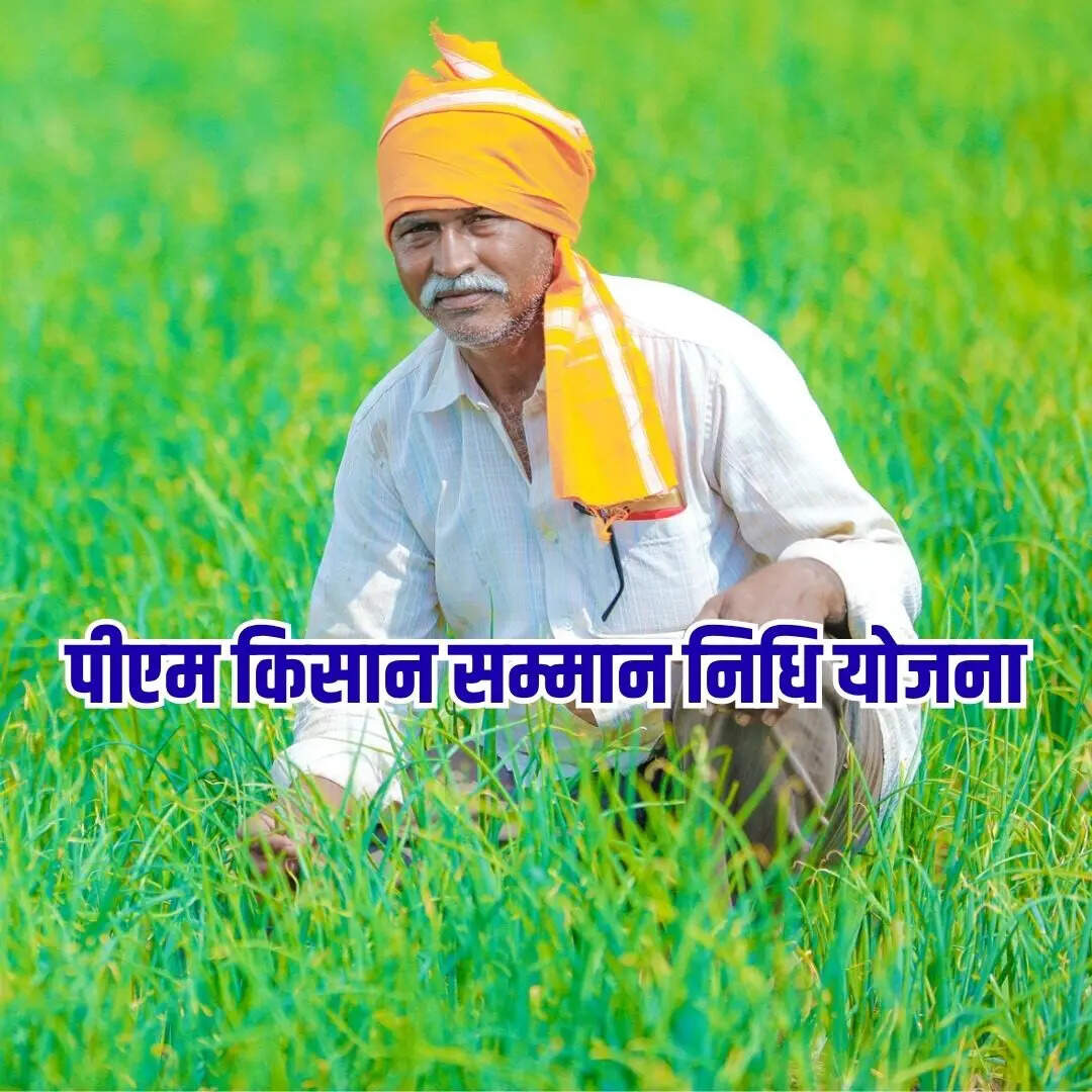 ​फार्मर रजिस्ट्री में टीमों की सक्रियता​
