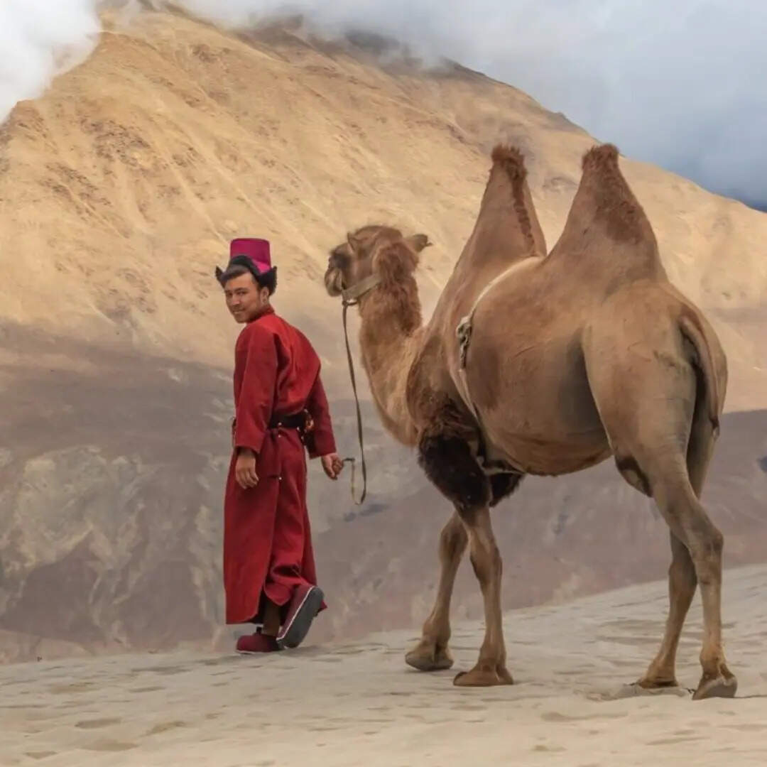 भूल जाएंगा सहारा का रेगिस्तान