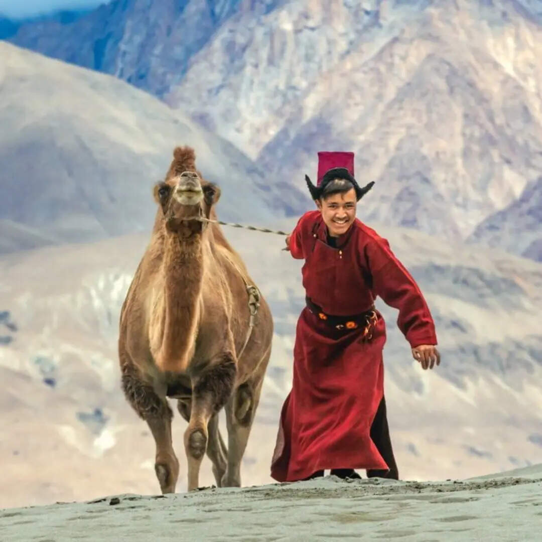 बैक्ट्रियन ऊंट की सवारी