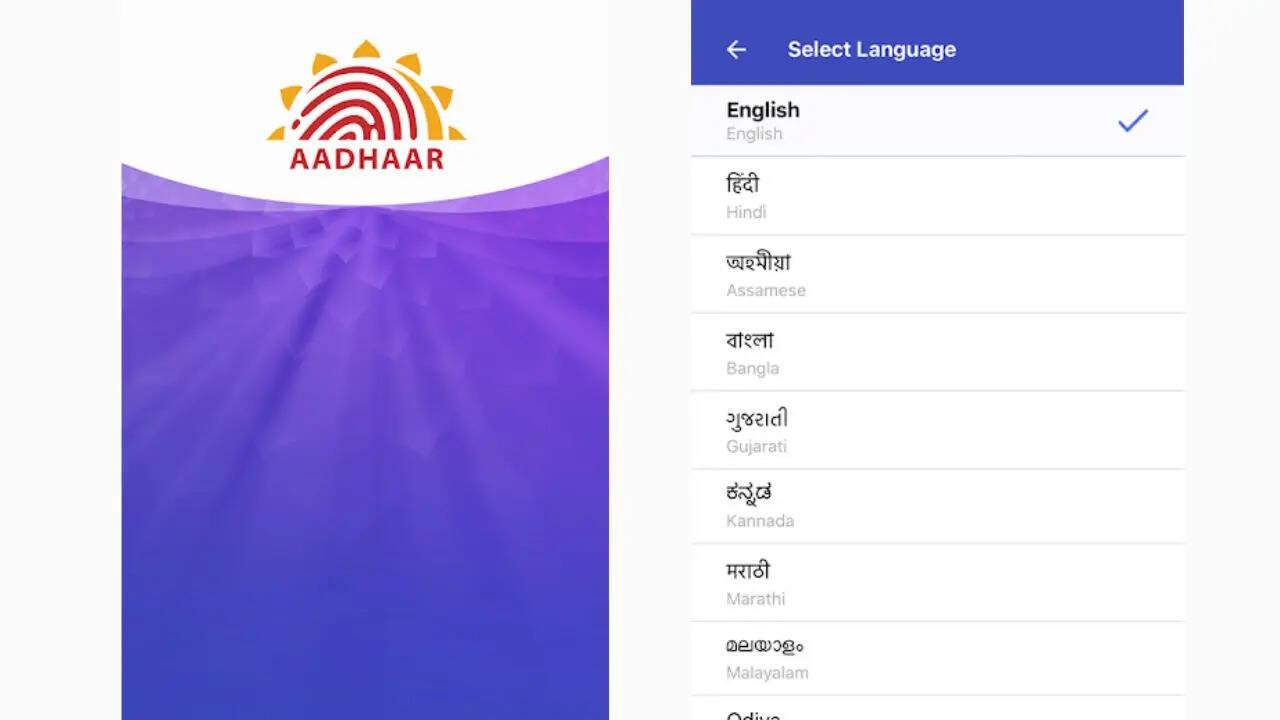 ​क्या सुविधा देगा e-Aadhaar ऐप​