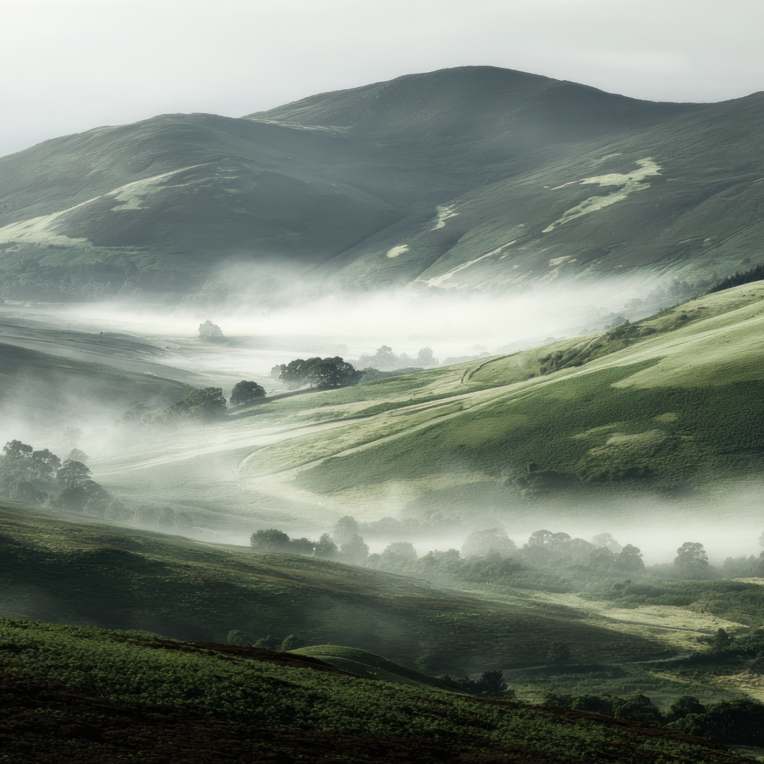 तीर्थन वैली