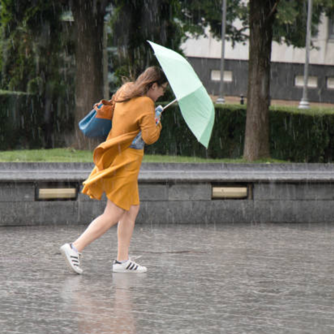 हरियाणा-पंजाब और उत्तराखंड में बारिश का अलर्ट