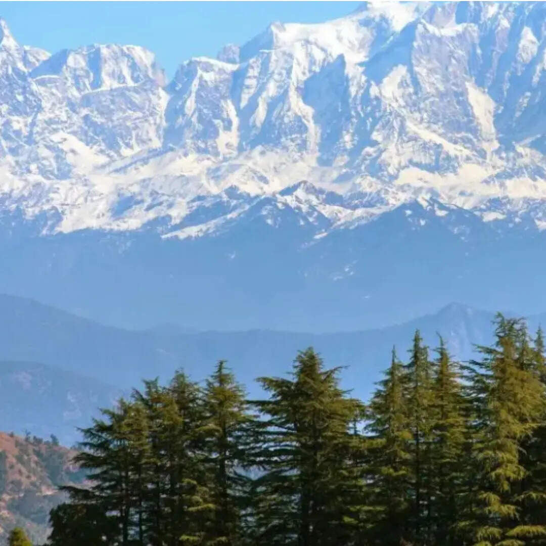 दिलचस्प है इसका इतिहास