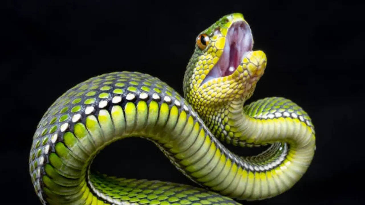 मुख्य रूप से तीन श्रेणियां