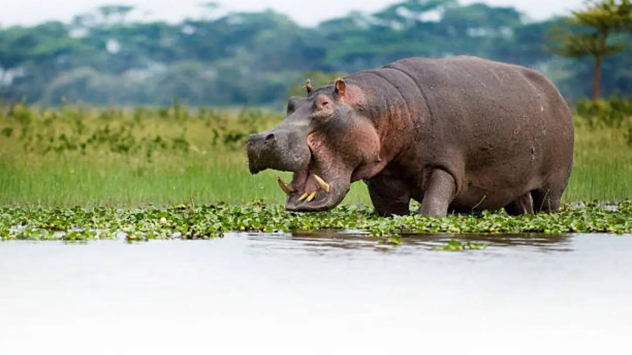 कैसी होती है त्वचा