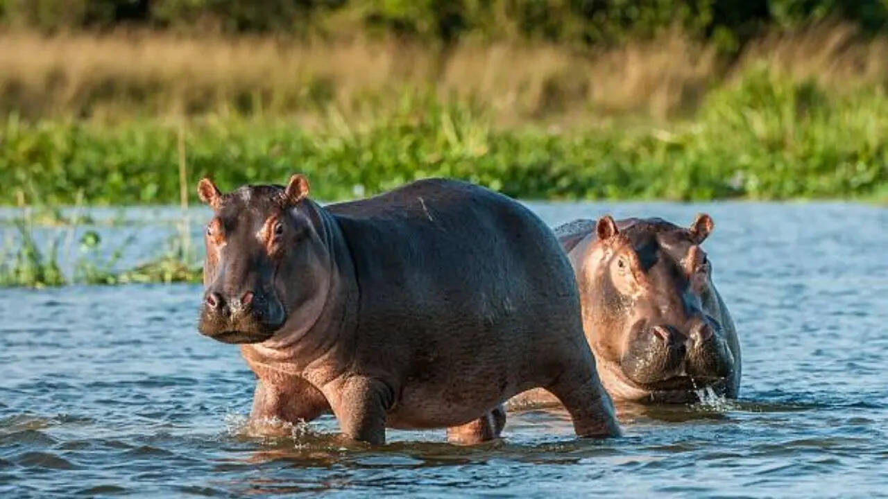 दोनों कहां रहते हैं