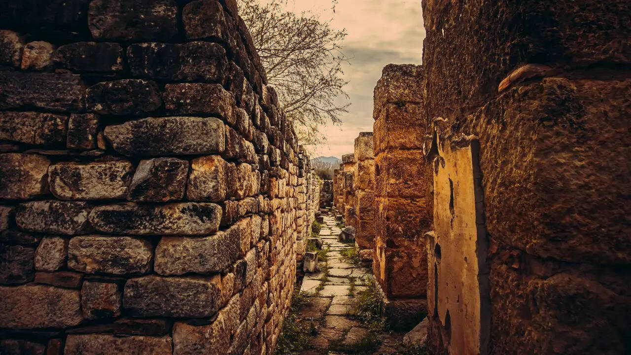 लाल कृष्ण आडवाणी का जन्म