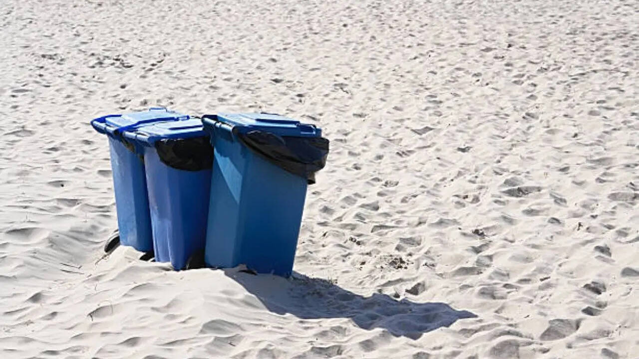 नहीं फैलती गंदगी