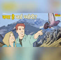 Bird Theory क्या है बर्ड थ्योरी वायरल हो रहा नया रिलेशनशिप ट्रेंड जानिए कपल्स क्यों अपना रहे इसे