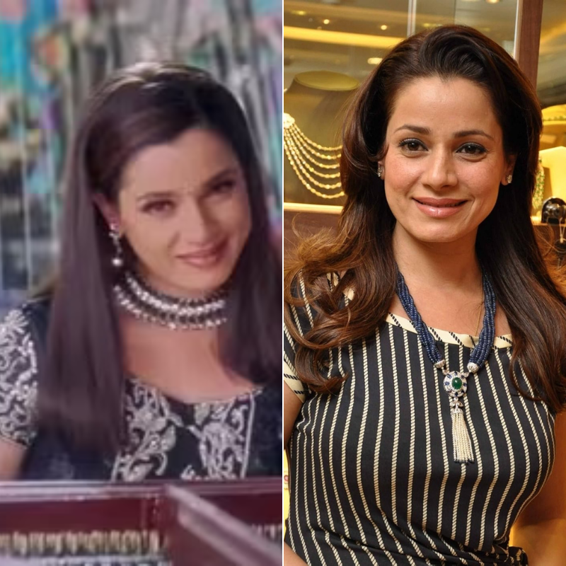 नीलम कोठारी (Neelam Kothari)