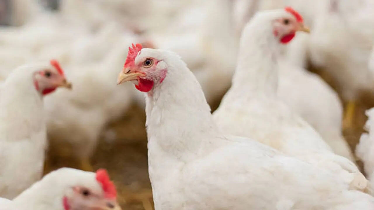 दोनों की आवाज में अंतर