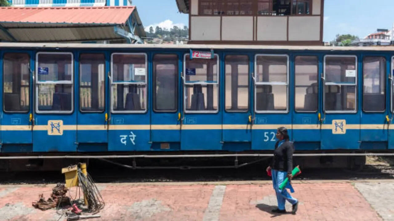 दौड़कर पीछे छोड़ देगा कोई इंसान