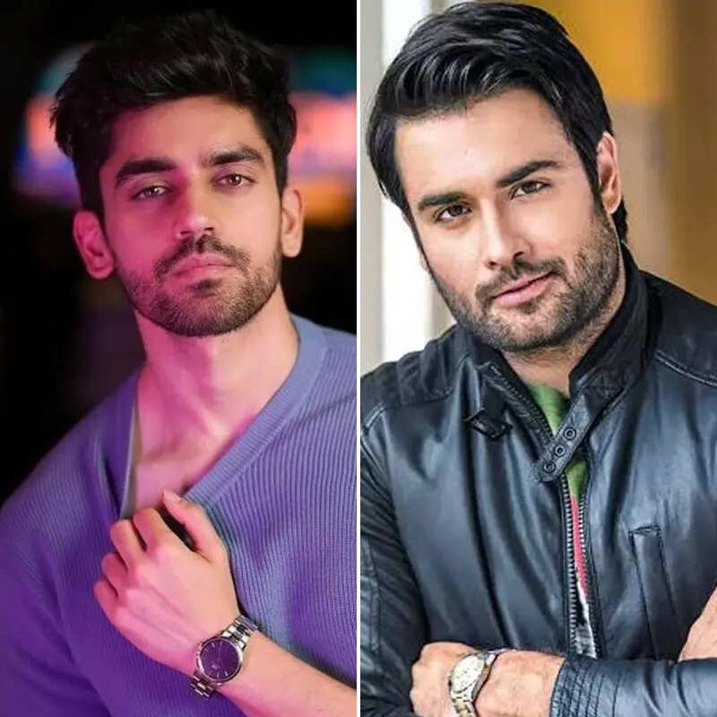 अविनाश मिश्रा-विविवयन डीसेना Avinash Mishra-Vivian Dsena