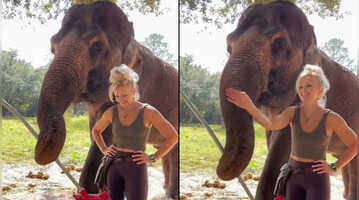 केयरटेकर के साथ मस्ती करते दिखा हाथी आपका भी मन मोह लेगा गजराज का यह मजाकिया अंदाज