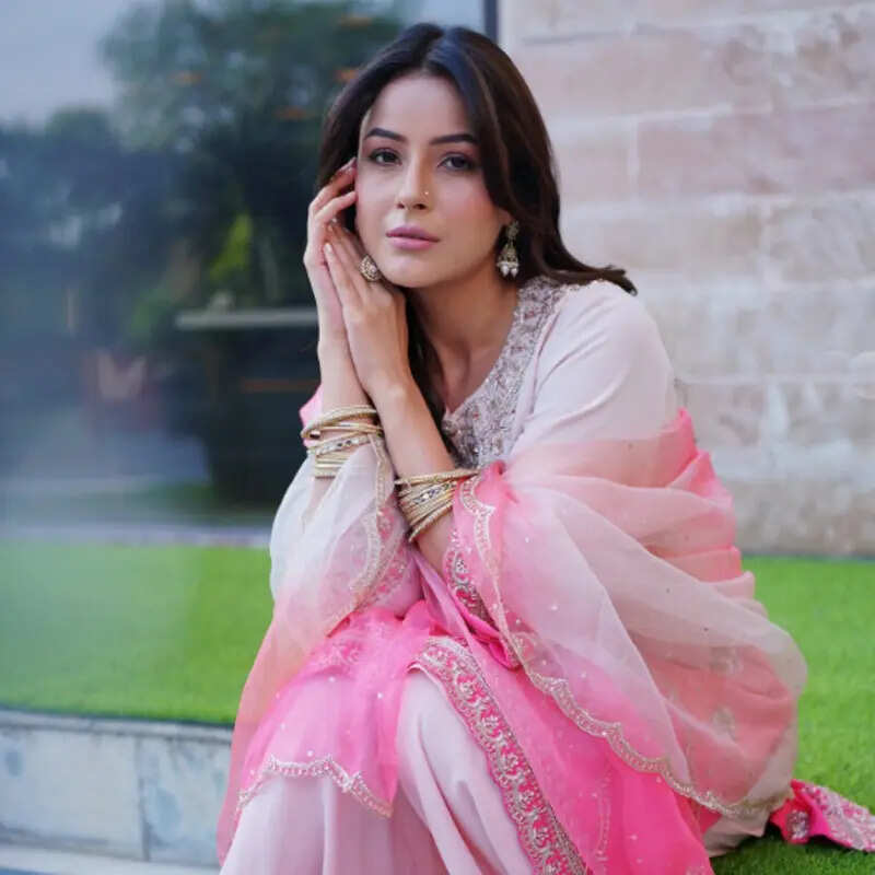 शहनाज गिल (Shehnaaz Gill)