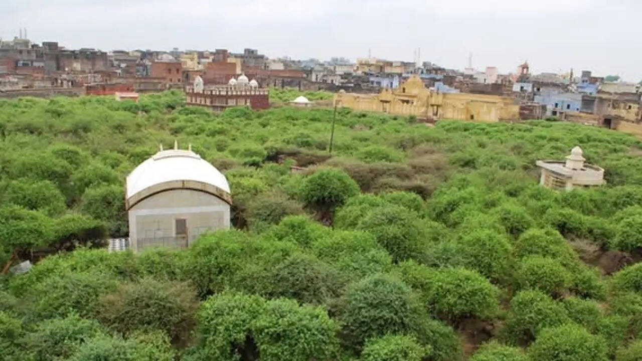निधिवन