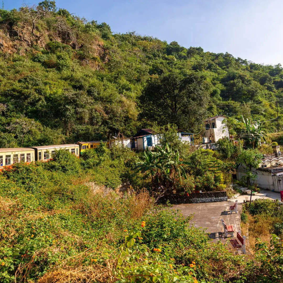  किफायती और लोकप्रिय विकल्प