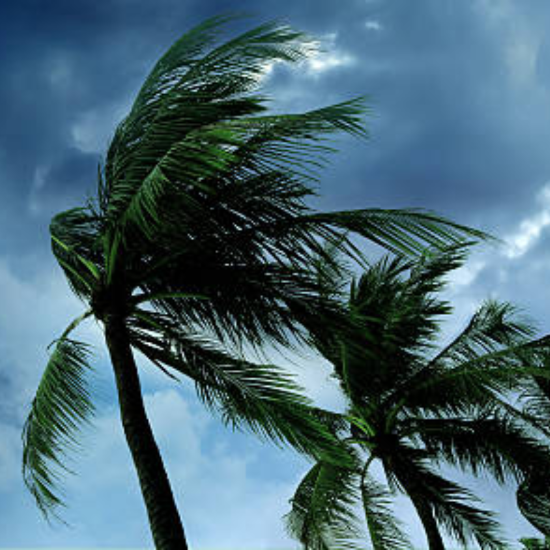 आज दितवाह तूफान का प्रभाव