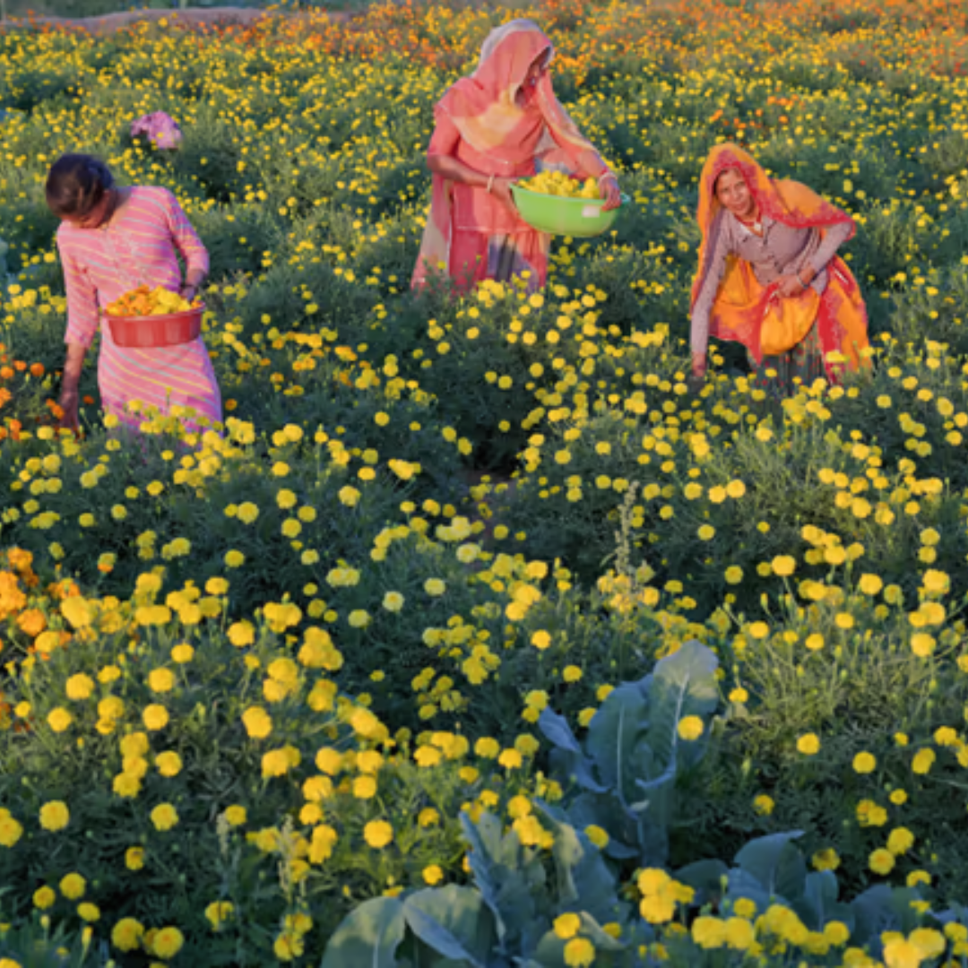 बिहार में आज मौसम कैसा रहेगा