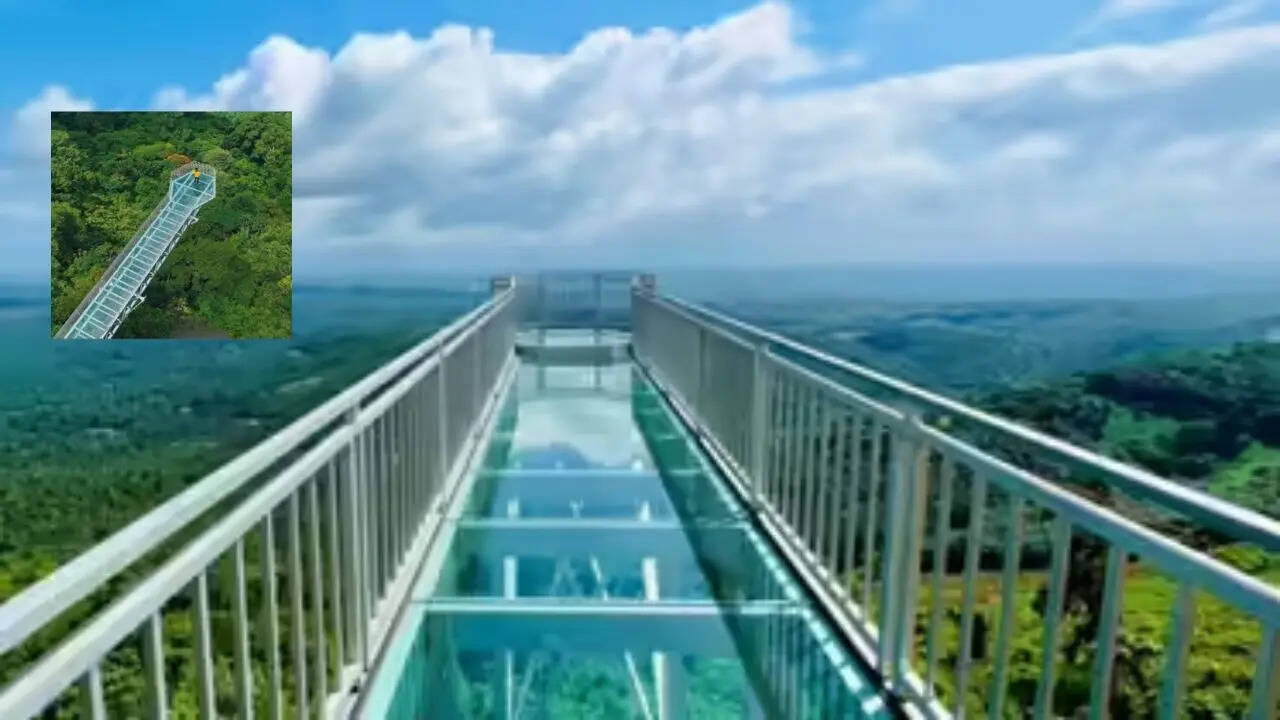 भारत में कहां कहां है ग्लास ब्रिज