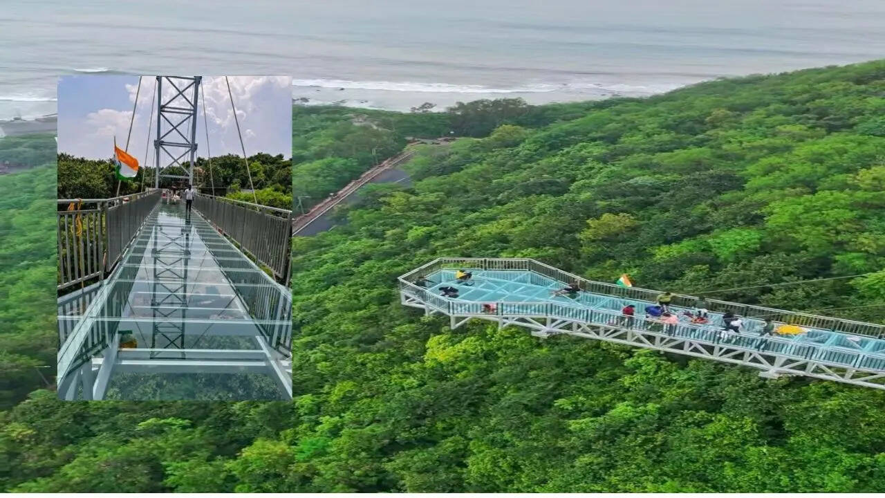 SKY Walk Bridge Length