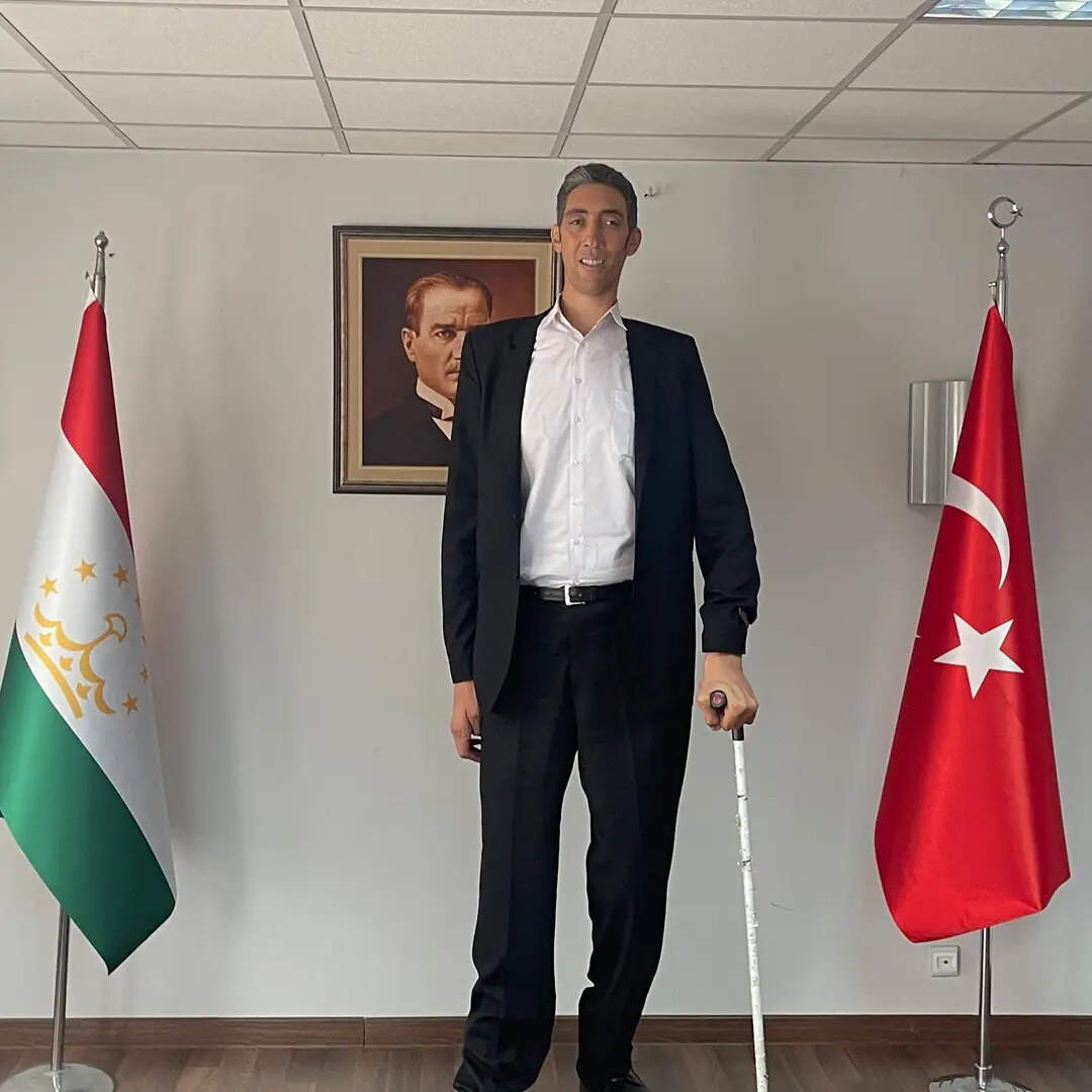 कितनी है लंबाई