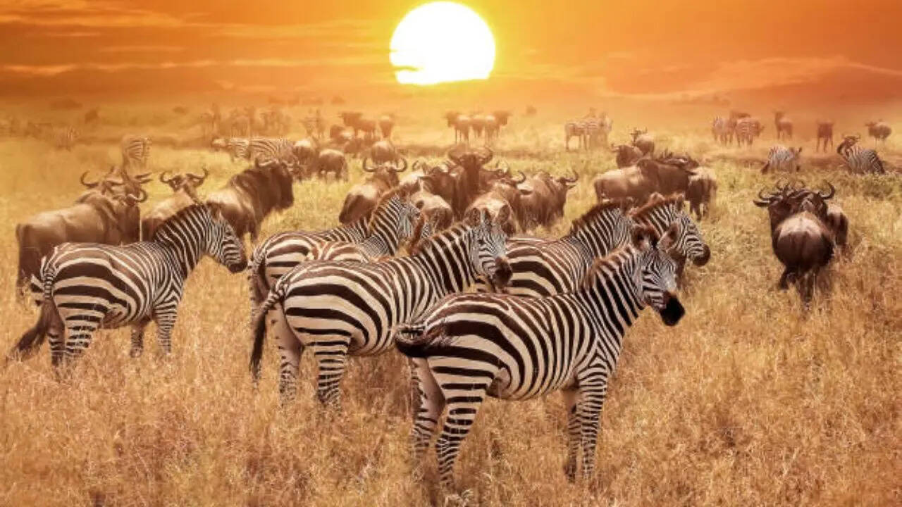 एक-दूसरे को पहचानने में मदद