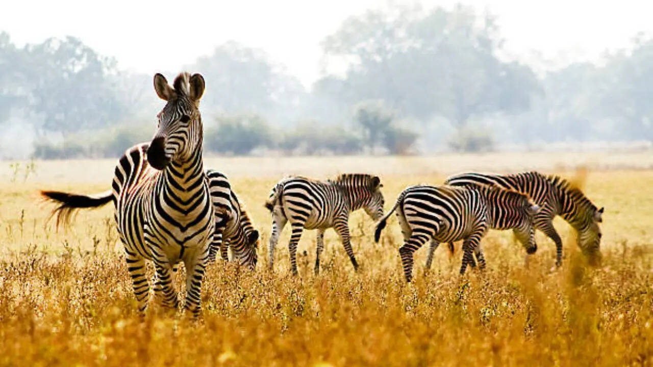 नेचुरल कूलिंग सिस्टम