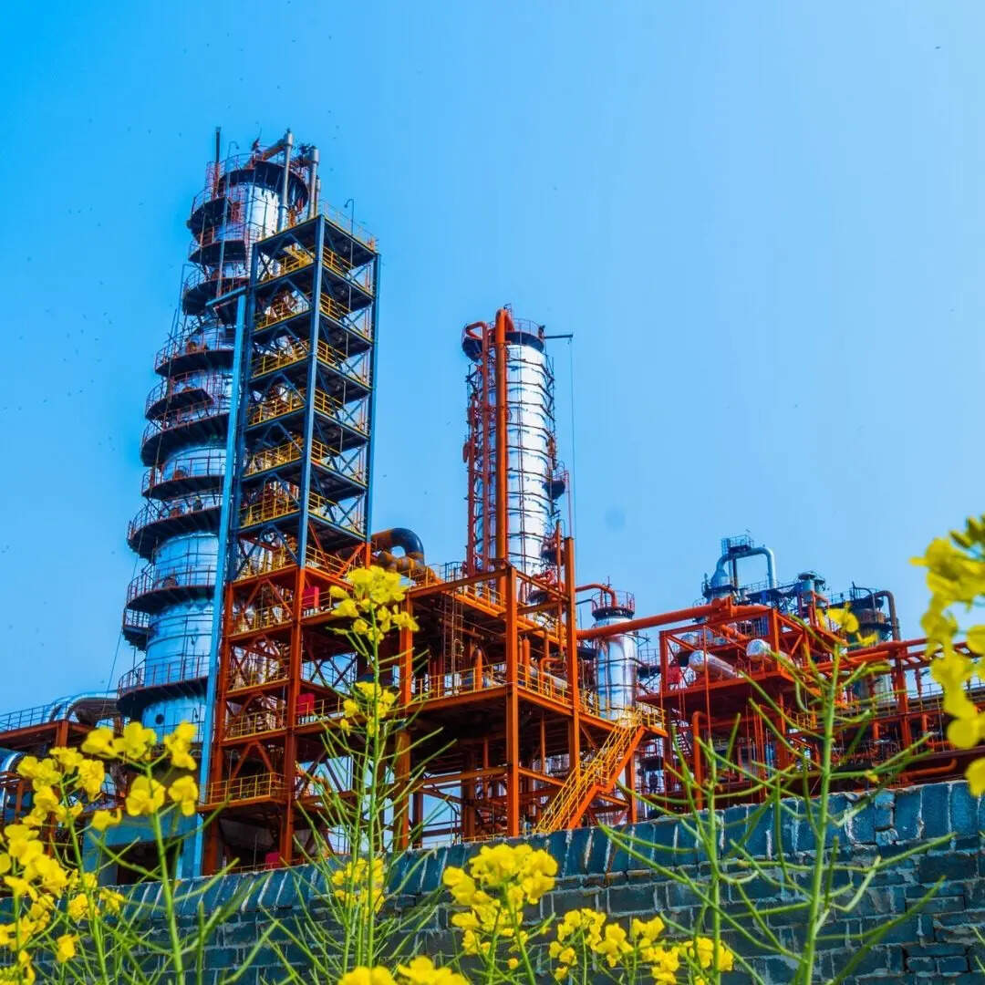 बड़े निवेश में मिलेगी स्वतंत्रता